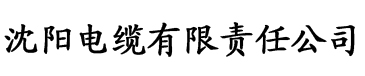 小夫妻电影高清免费观看电缆厂logo